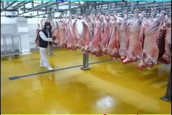 6 Food Processing